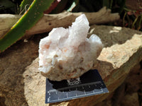 Natural White And Lilac Cactus Flower Spirit Clusters x 2 From Boekenhouthoek, South Africa