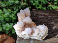 Natural White And Lilac Cactus Flower Spirit Clusters x 2 From Boekenhouthoek, South Africa