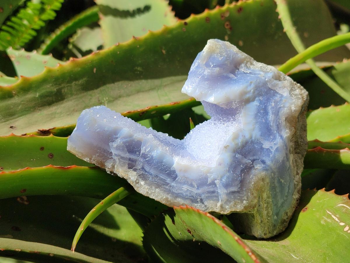 Natural Blue Lace Agate Geode Specimens x 6 From Nsanje, Malawi