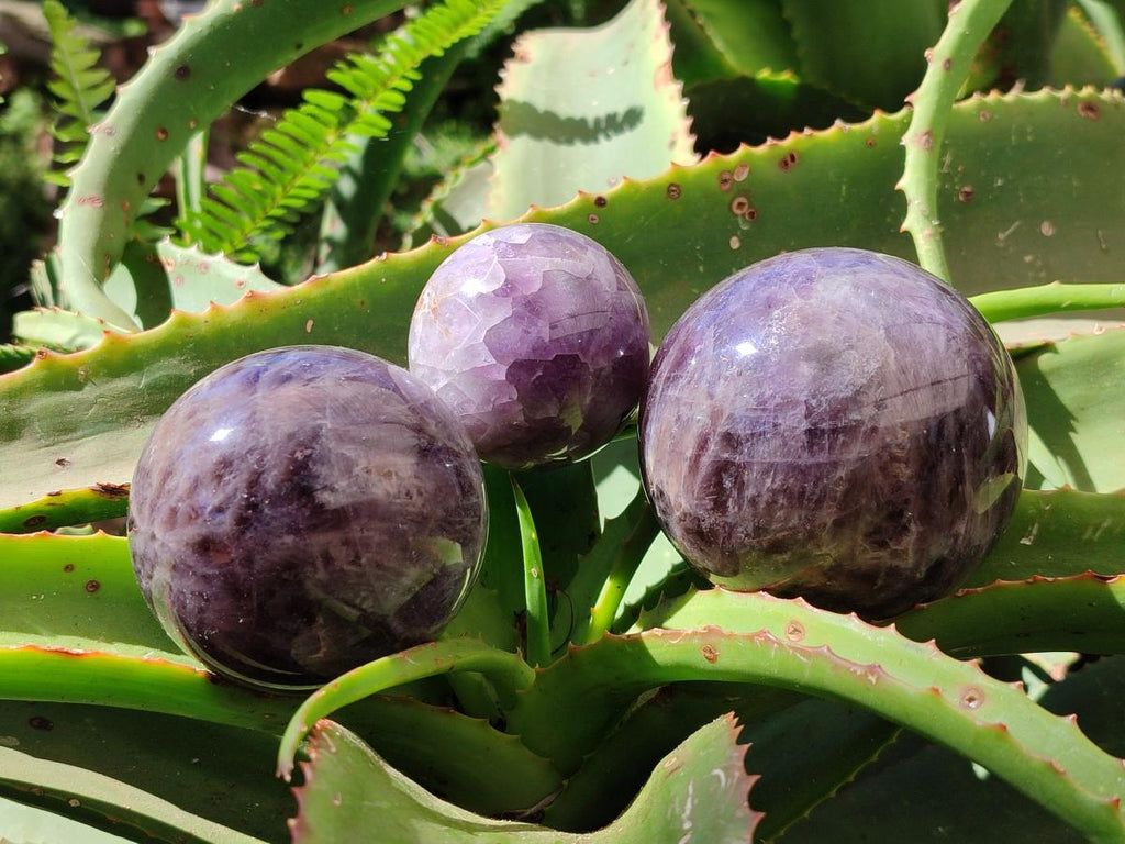 Polished Chevron Amethyst Spheres x 3 From Madagascar