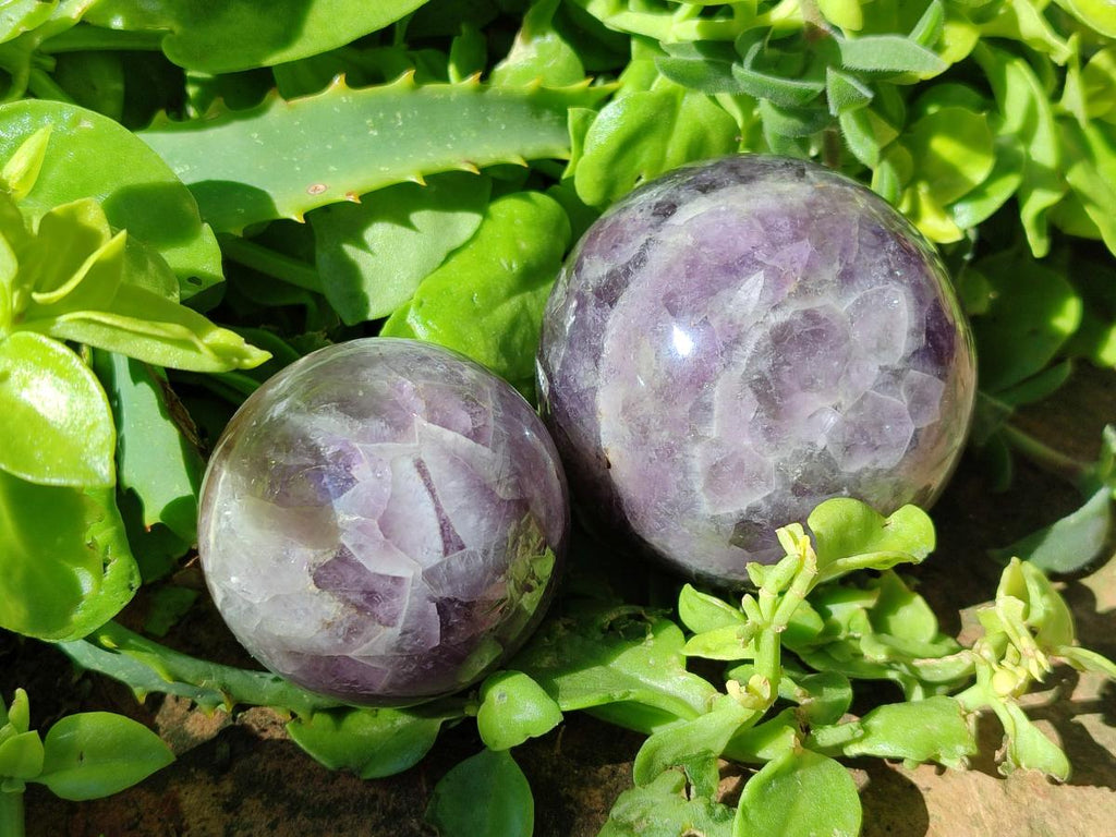 Polished Chevron Amethyst Spheres x 3 From Madagascar
