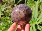 Polished Chevron Amethyst Spheres x 3 From Madagascar