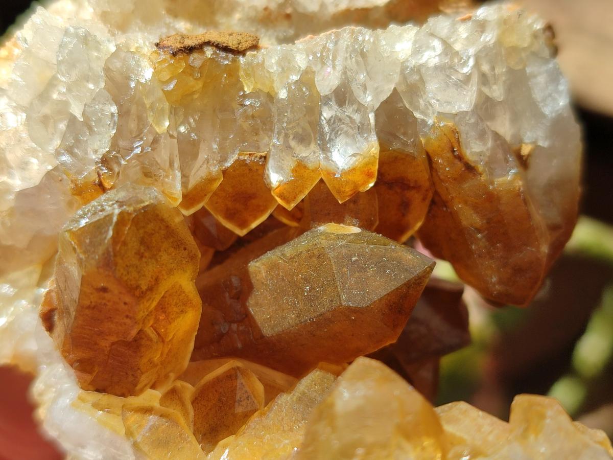 Natural Golden Limonite Quartz Clusters x 6 From Solwezi Zambia