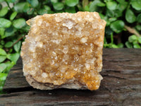 Natural Golden Limonite Quartz Clusters x 6 From Solwezi Zambia