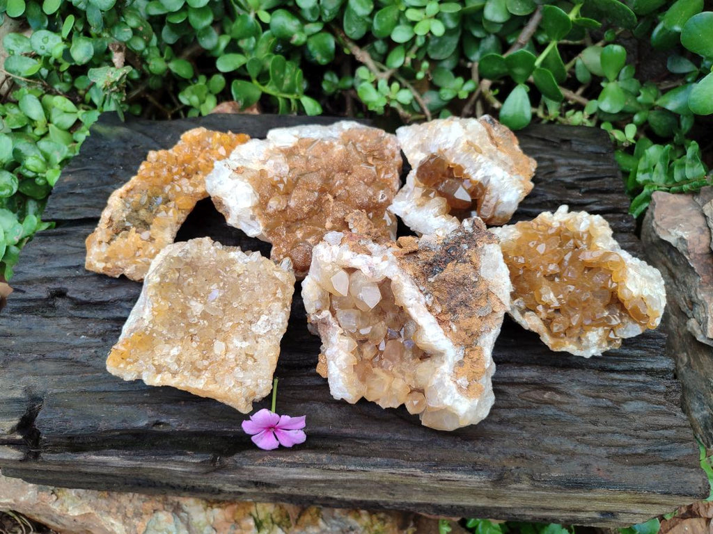 Natural Golden Limonite Quartz Clusters x 6 From Solwezi Zambia - Toprock Gemstones and Minerals 