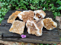 Natural Golden Limonite Quartz Clusters x 6 From Solwezi Zambia
