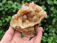 Natural Golden Limonite Quartz Clusters x 6 From Solwezi Zambia
