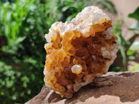 Natural Golden Limonite Quartz Clusters x 6 From Solwezi Zambia