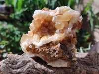 Natural Golden Limonite Quartz Clusters x 6 From Solwezi Zambia