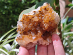 Natural Golden Limonite Quartz Clusters x 6 From Solwezi Zambia - Toprock Gemstones and Minerals 