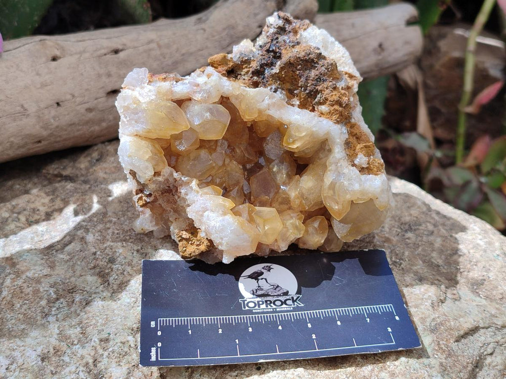 Natural Golden Limonite Quartz Clusters x 6 From Solwezi Zambia - Toprock Gemstones and Minerals 
