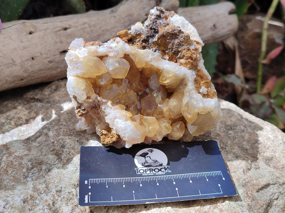 Natural Golden Limonite Quartz Clusters x 6 From Solwezi Zambia - Toprock Gemstones and Minerals 