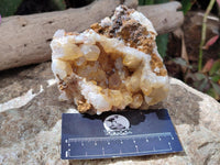 Natural Golden Limonite Quartz Clusters x 6 From Solwezi Zambia