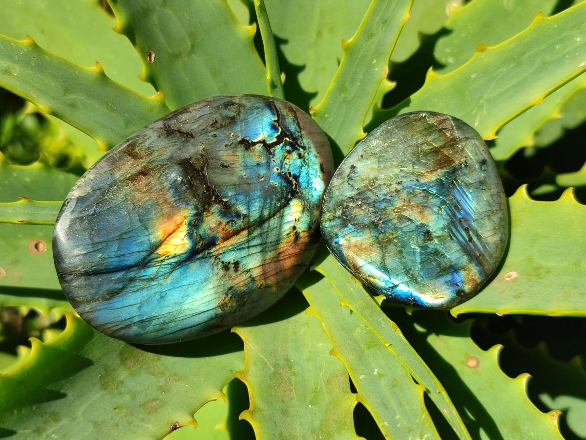 Polished Labradorite Galets x 25 From Tulear, Madagascar