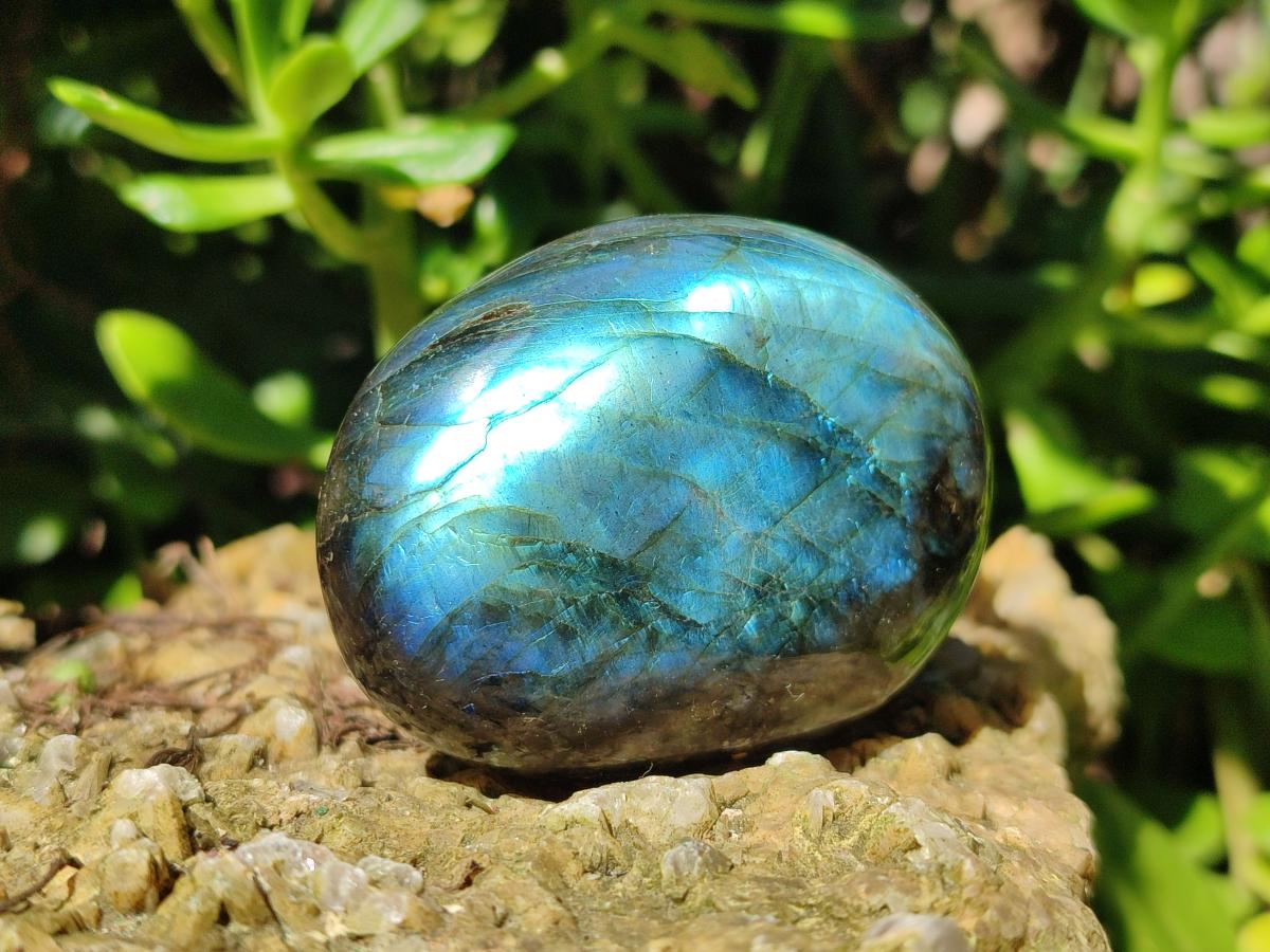 Polished Labradorite Galets x 25 From Tulear, Madagascar