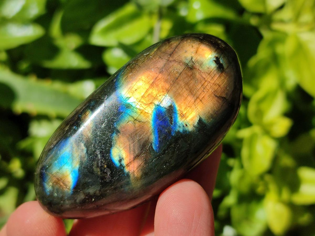 Polished Labradorite Galets x 25 From Tulear, Madagascar