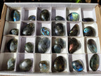 Polished Labradorite Galets x 25 From Tulear, Madagascar