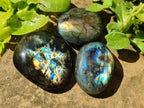 Polished Labradorite Galets x 25 From Tulear, Madagascar