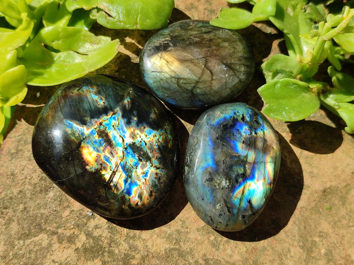 Polished Labradorite Galets x 25 From Tulear, Madagascar