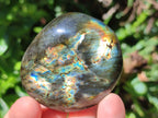 Polished Labradorite Galets x 25 From Tulear, Madagascar