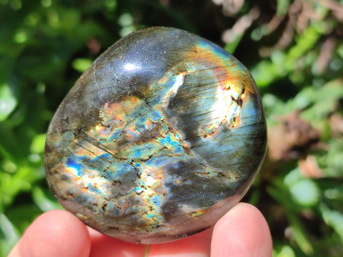 Polished Labradorite Galets x 25 From Tulear, Madagascar