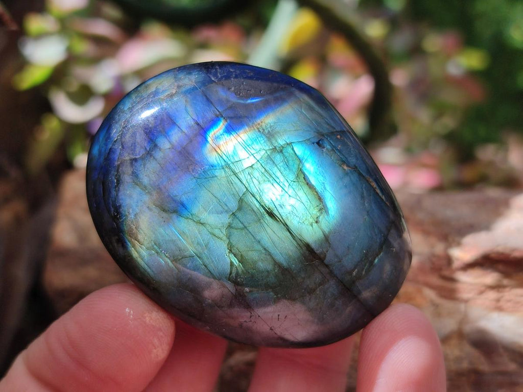 Polished Labradorite Galets x 25 From Tulear, Madagascar