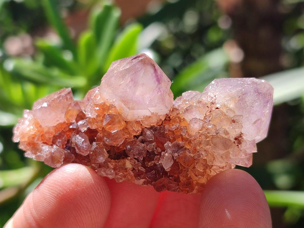 Natural Sunburst Amethyst Spirit Clusters x 20 From Boekenhouthoek, South Africa
