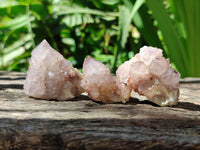 Natural Sunburst Amethyst Spirit Clusters x 20 From Boekenhouthoek, South Africa