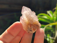 Natural Sunburst Amethyst Spirit Clusters x 20 From Boekenhouthoek, South Africa
