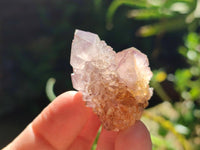 Natural Sunburst Amethyst Spirit Clusters x 20 From Boekenhouthoek, South Africa