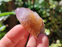 Natural Sunburst Amethyst Spirit Clusters x 20 From Boekenhouthoek, South Africa