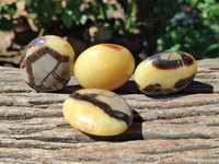 Polished Septerye Galets x 20 From Mahajanga, Madagascar