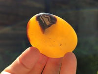 Polished Septerye Galets x 20 From Mahajanga, Madagascar
