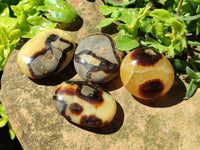 Polished Septerye Galets x 20 From Mahajanga, Madagascar
