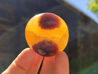 Polished Septerye Galets x 20 From Mahajanga, Madagascar