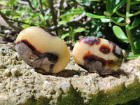 Polished Septerye Galets x 20 From Mahajanga, Madagascar