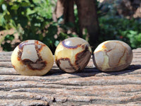 Polished Septerye Galets x 20 From Mahajanga, Madagascar