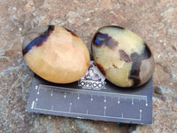 Polished Septerye Galets x 20 From Mahajanga, Madagascar