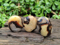 Polished Septerye Galets x 20 From Mahajanga, Madagascar