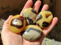 Polished Septerye Galets x 20 From Mahajanga, Madagascar