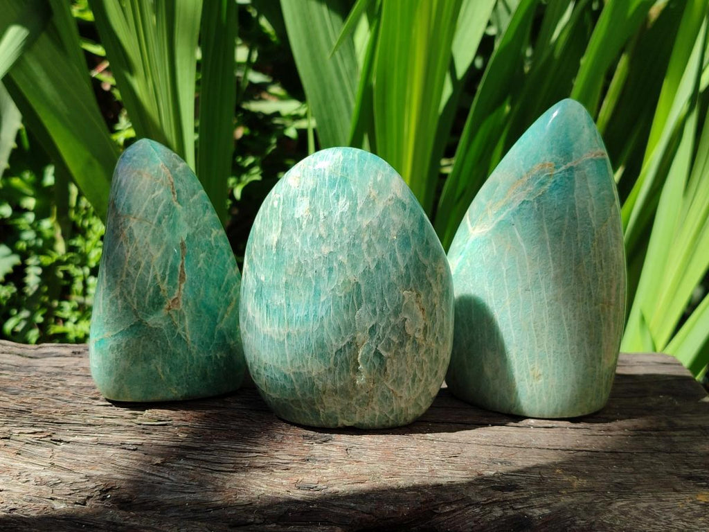 Polished Amazonite Standing Free Forms x 3 From Madagascar
