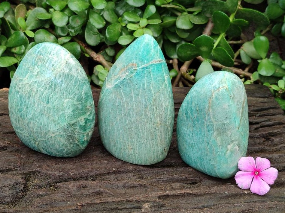 Polished Amazonite Standing Free Forms x 3 From Madagascar