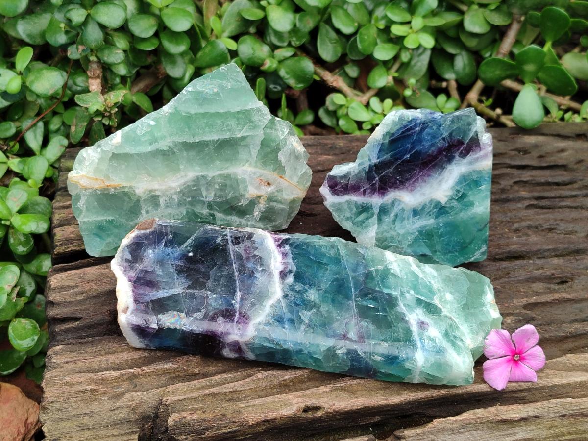 Polished On One Side Watermelon Fluorite Slices x 3 From Uis, Namibia
