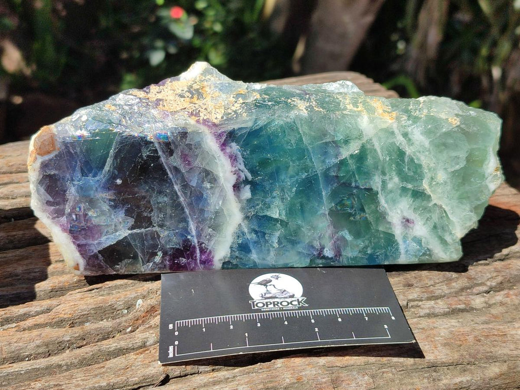 Polished On One Side Watermelon Fluorite Slices x 3 From Uis, Namibia
