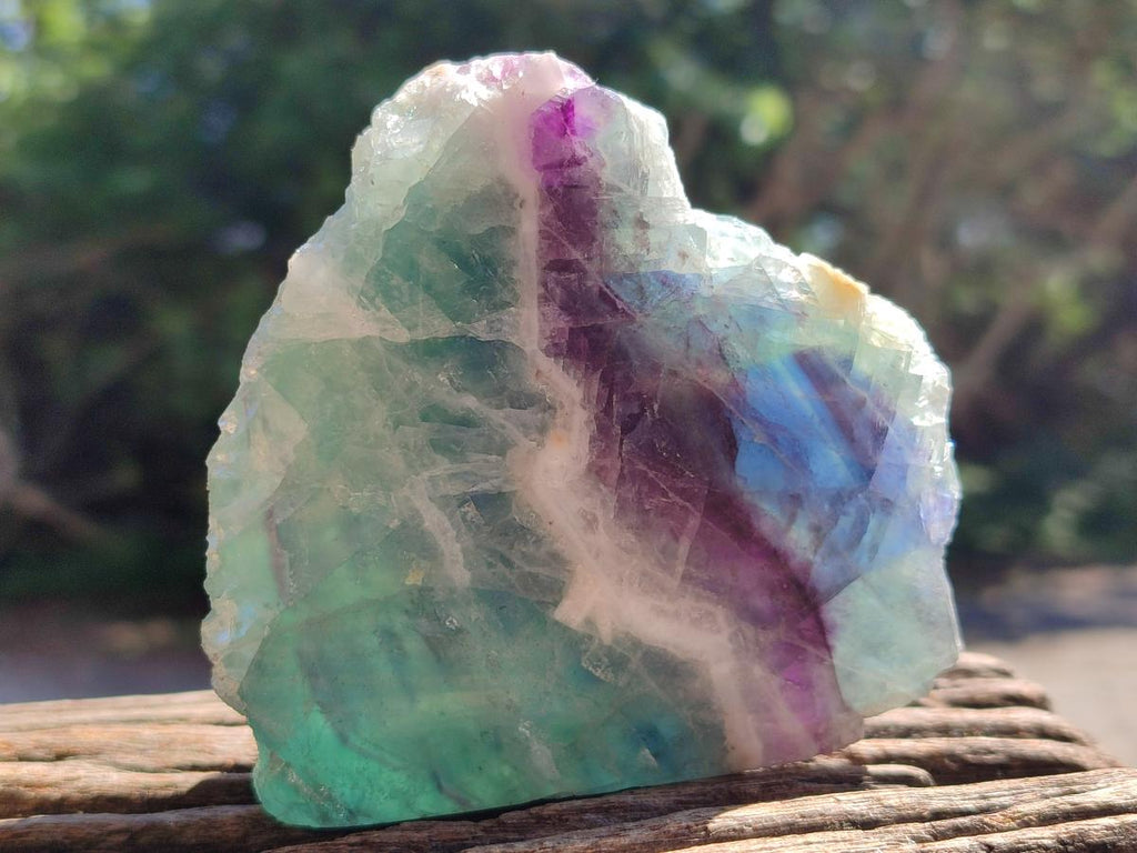Polished On One Side Watermelon Fluorite Slices x 3 From Uis, Namibia
