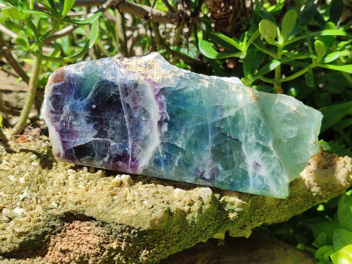 Polished On One Side Watermelon Fluorite Slices x 3 From Uis, Namibia