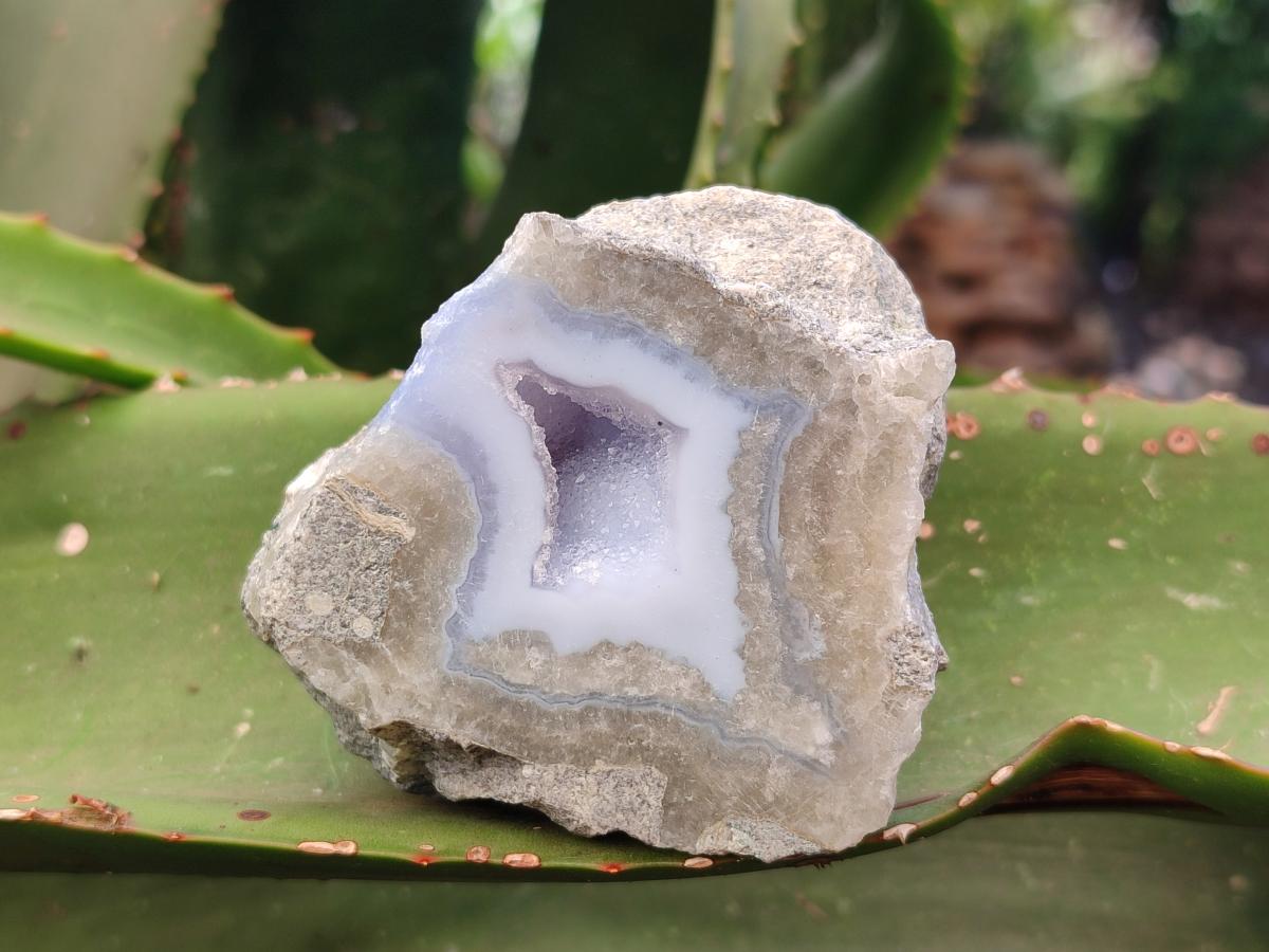 Polished On One Side Blue Lace Agate Geodes x 6 From Nsanje, Malawi