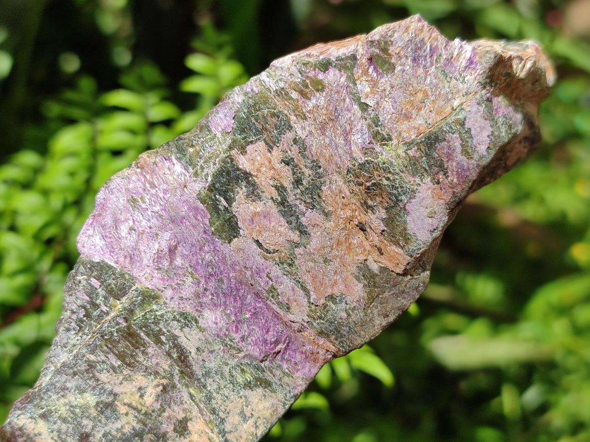 Natural Stichtite Cobbed Specimens x 8 From Barberton, South Africa