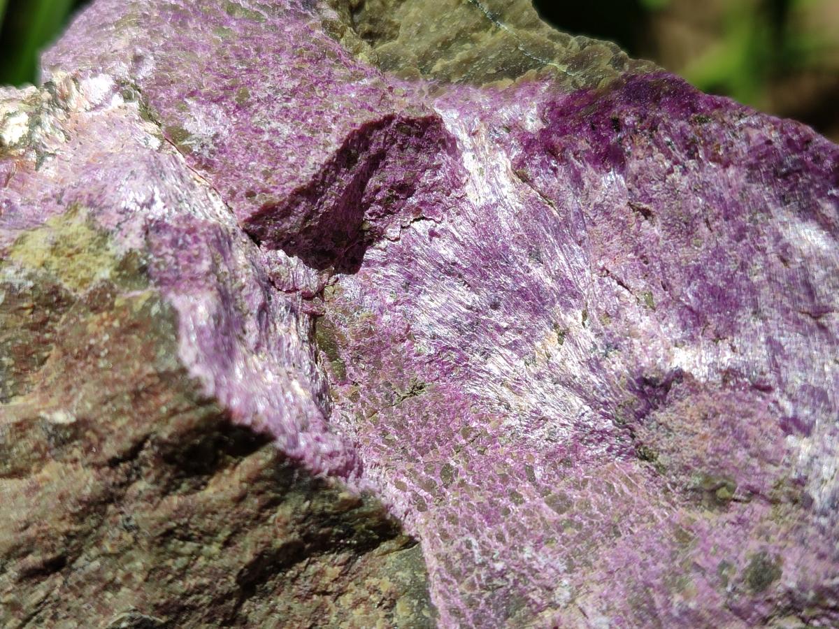 Natural Stichtite Cobbed Specimens x 8 From Barberton, South Africa