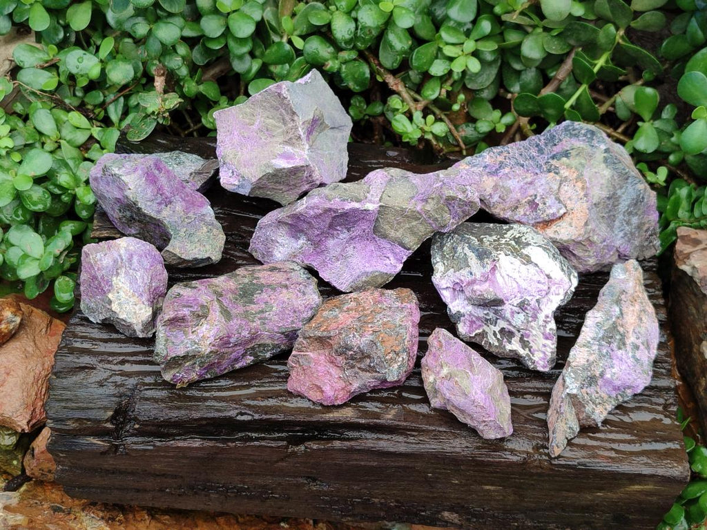 Natural Stichtite Cobbed Specimens x 8 From Barberton, South Africa